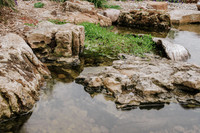 DSC_8156.jpg