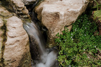 DSC_8157.jpg