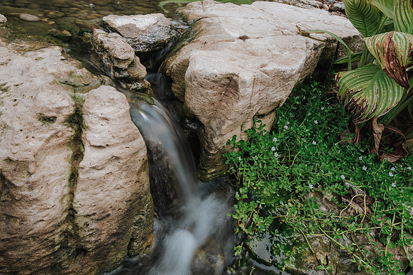 DSC_8158.jpg