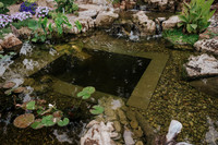 DSC_8160.jpg