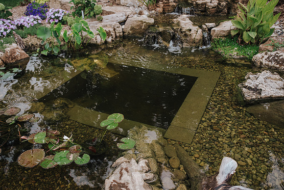 DSC_8160.jpg